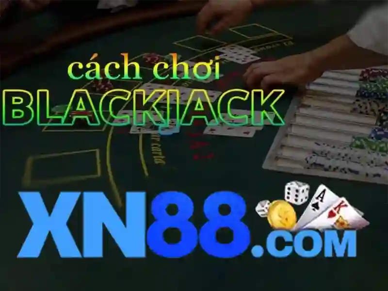 Các tính năng nổi bật