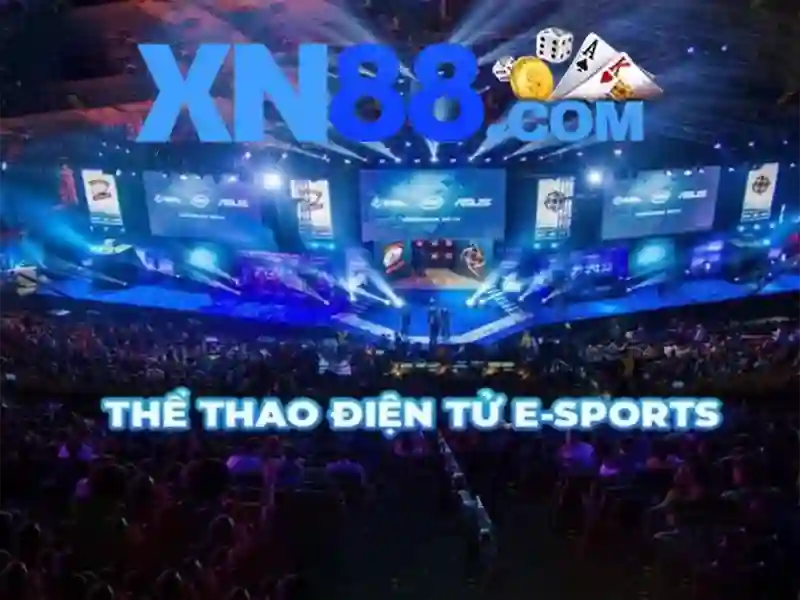 <!--IMG_PLACEHOLDER alt>Kết luận và triển vọng-->