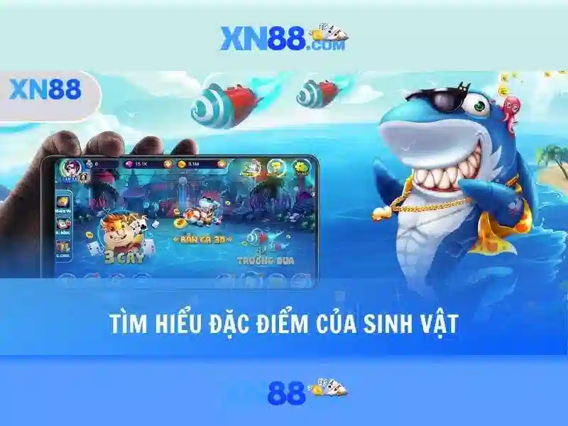XN88: Nền tảng cá cược trực tuyến - tổng quan và lưu ý