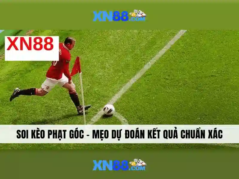 Các tính năng nổi bật