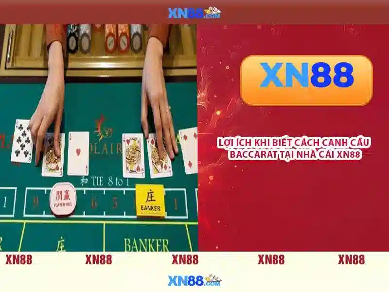 Trải nghiệm người dùng