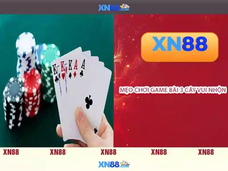 Đặc điểm nổi bật