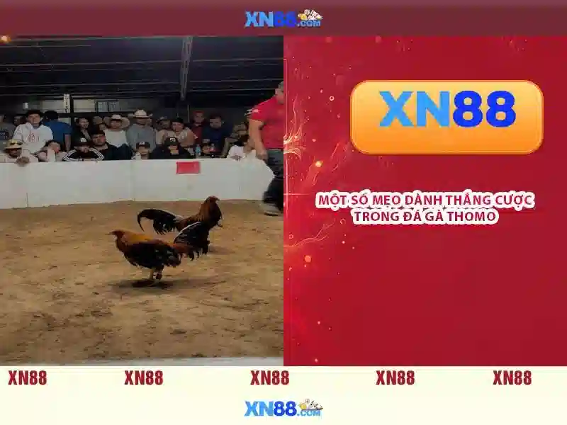 XN88: Tổng quan và đánh giá về nền tảng chơi game trực tuyến
