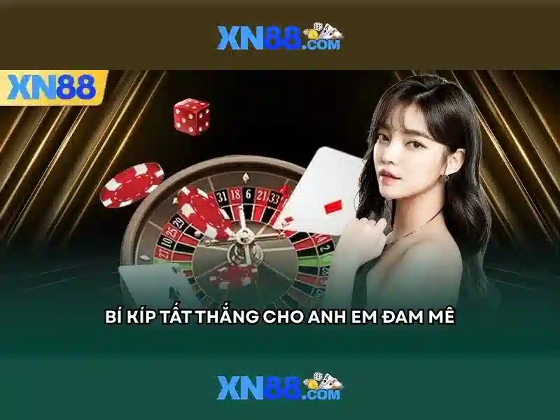 Nền tảng và chức năng