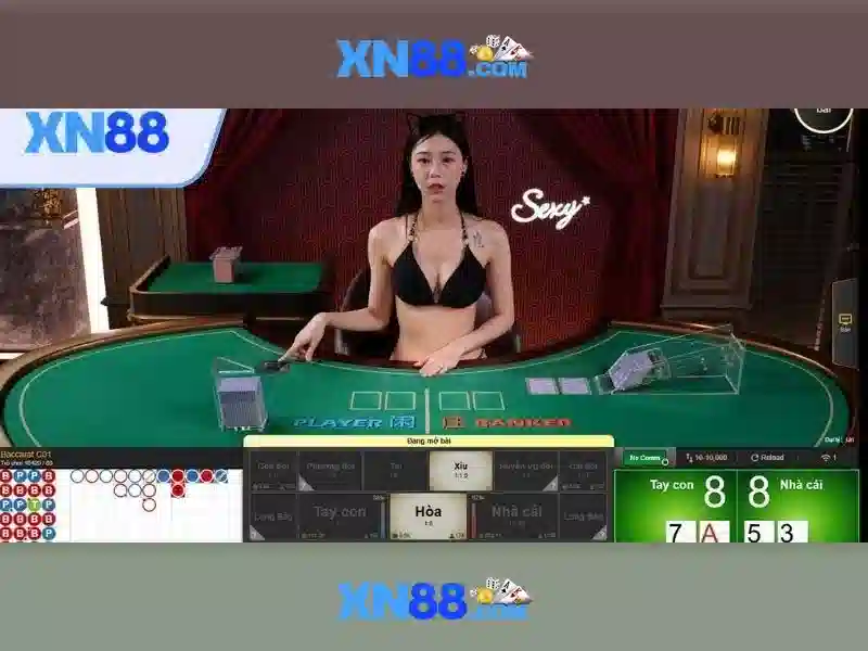 Quy trình tham gia và an toàn