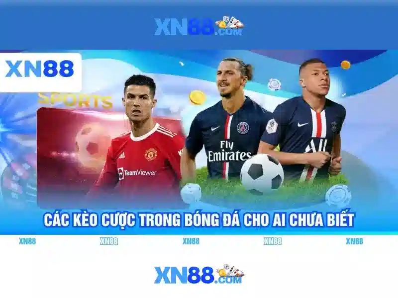 xn88: Tổng quan, chức năng và hướng dẫn cơ bản