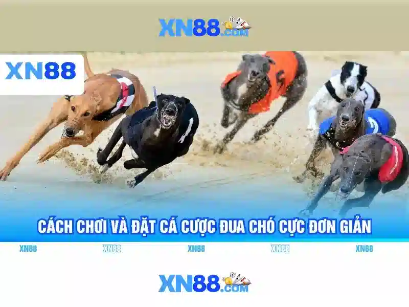 Kiến trúc và công nghệ