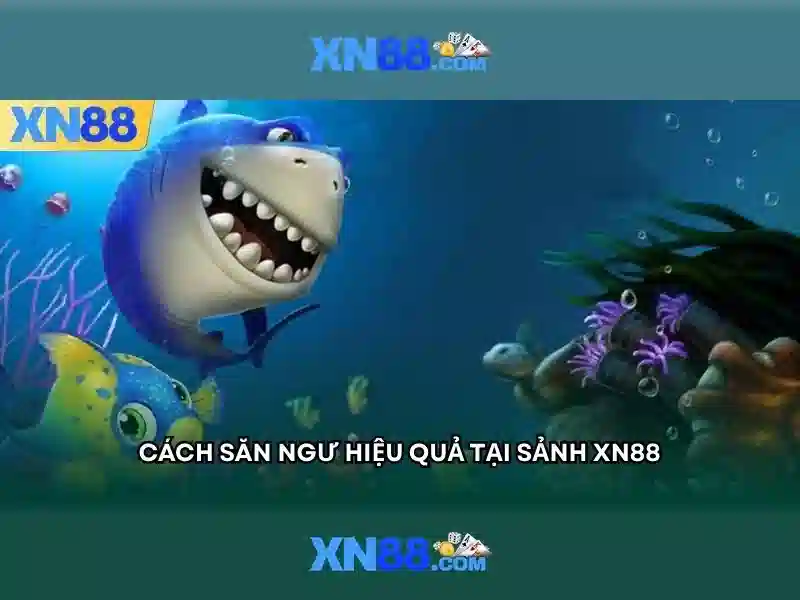 Nền tảng xn88 và sứ mệnh của nó