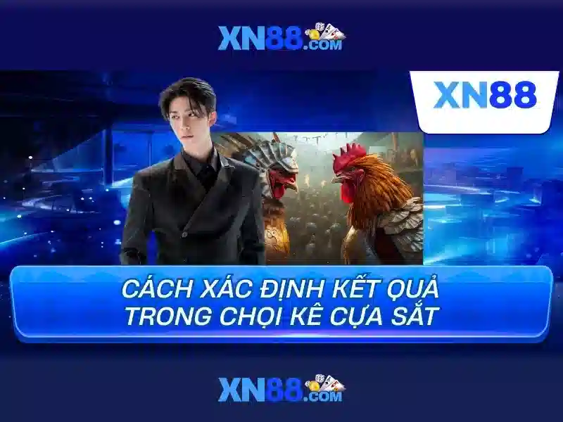 Lịch sử và tầm nhìn