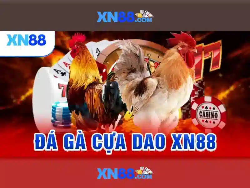Trải nghiệm người dùng