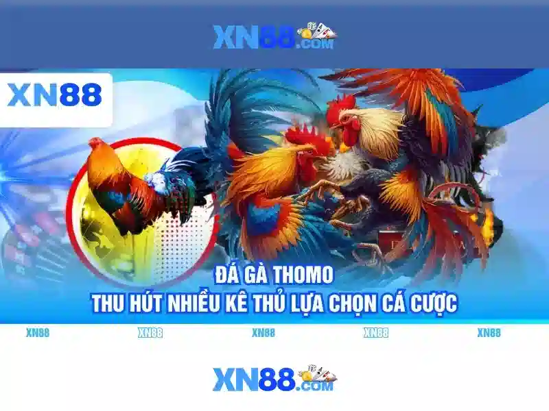 xn88 là gì?