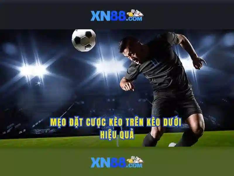 xn88: Tổng quan, chức năng và cộng đồng người dùng