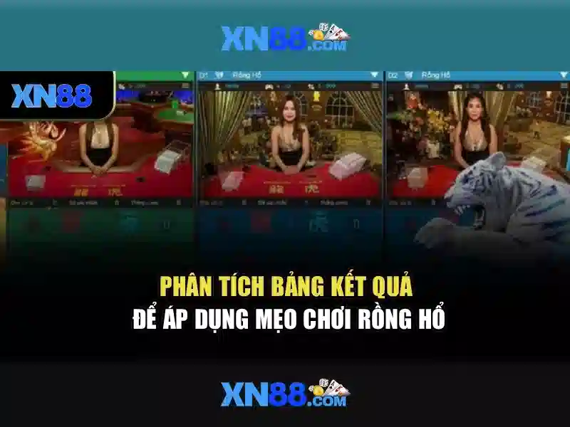 Các dịch vụ và cách hoạt động