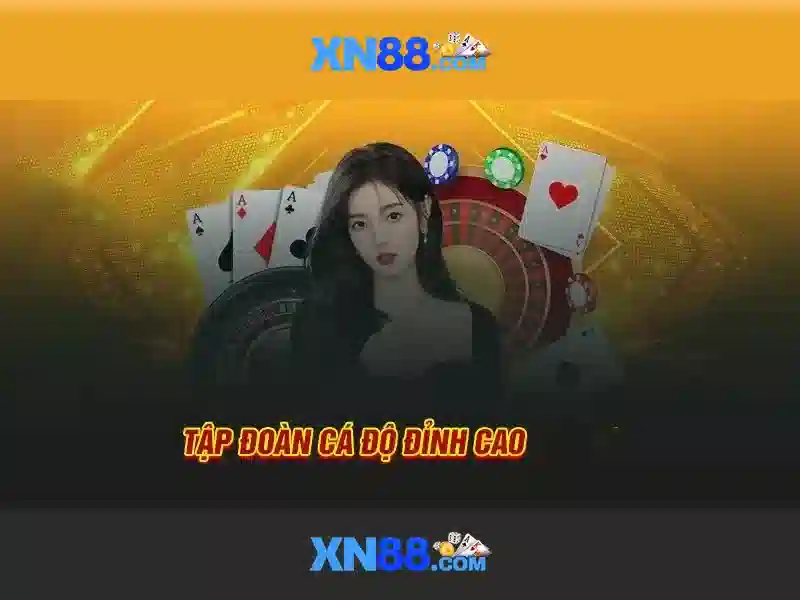 Giới thiệu về xn88