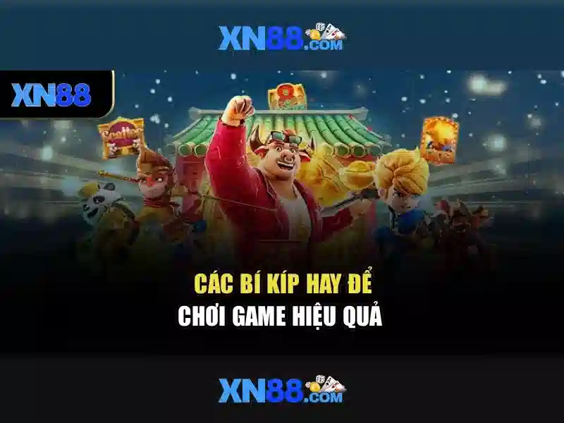Giới thiệu về xn88