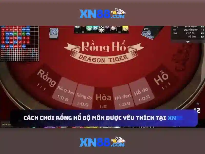 An toàn và lưu ý pháp lý khi chơi tại xn88