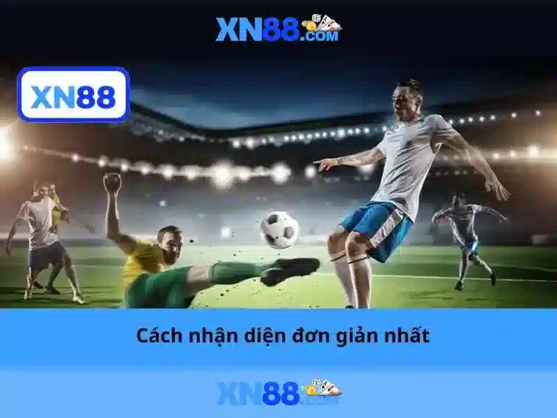 Giới thiệu về xn88