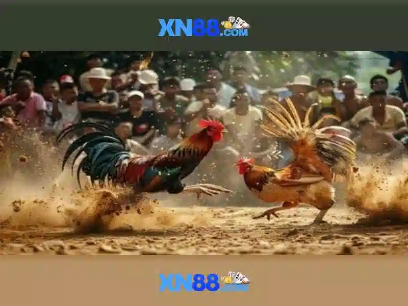 An toàn và pháp lý