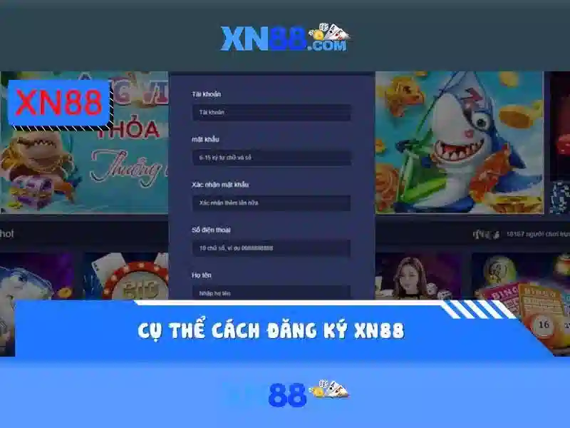 Nền tảng và trải nghiệm người dùng