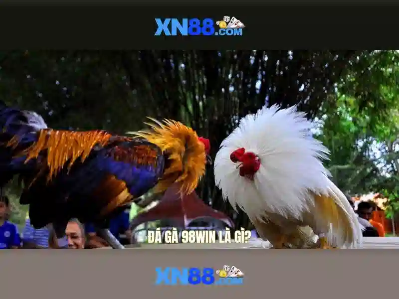 xn88: Tổng quan và hướng dẫn cơ bản