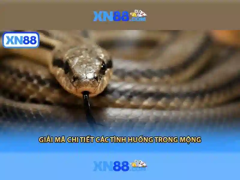xn88: Nền tảng và sứ mệnh