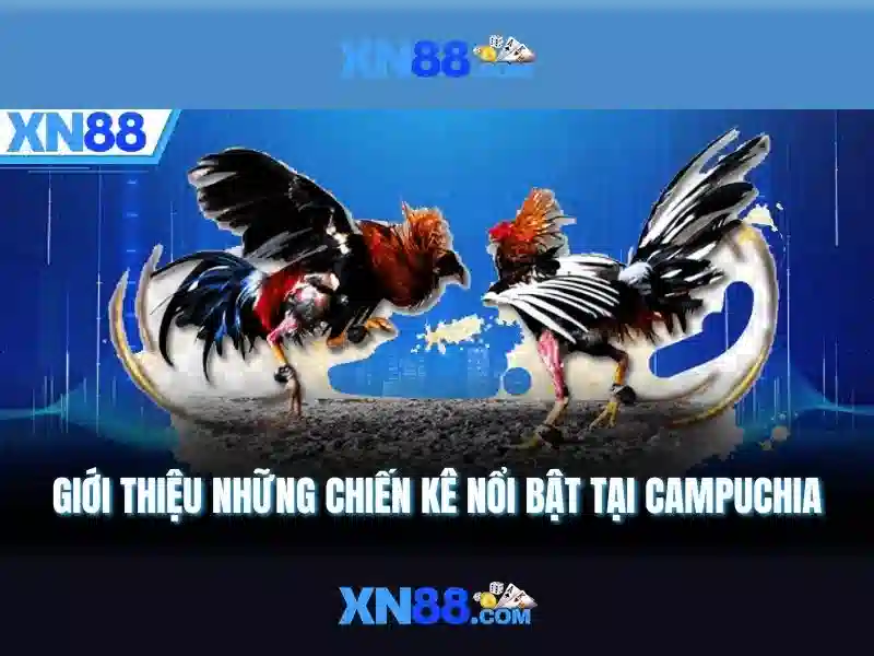 xn88 - Khám phá nền tảng trò chơi trực tuyến