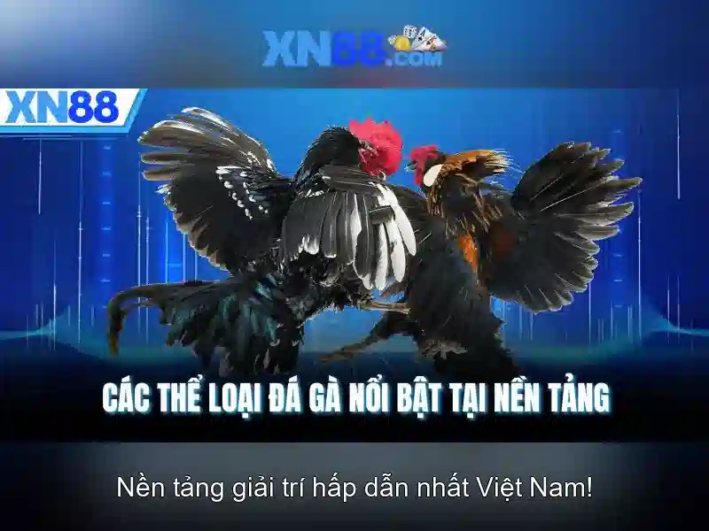 Đặc điểm nổi bật của xn88