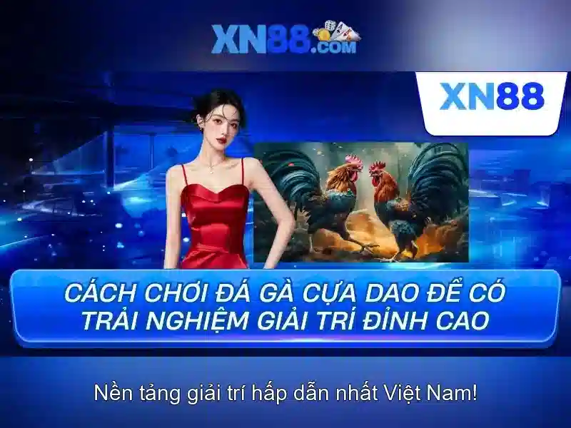 Các tính năng nổi bật của xn88