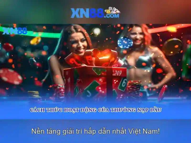 'Nền tảng và tính năng nổi bật'