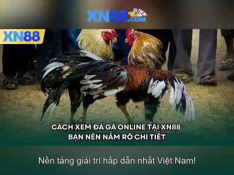 Công nghệ và an toàn