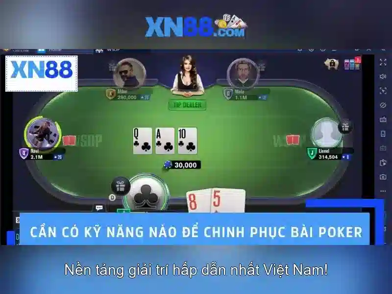 Những tính năng nổi bật