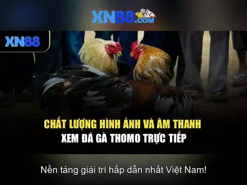 Ứng dụng và thị trường