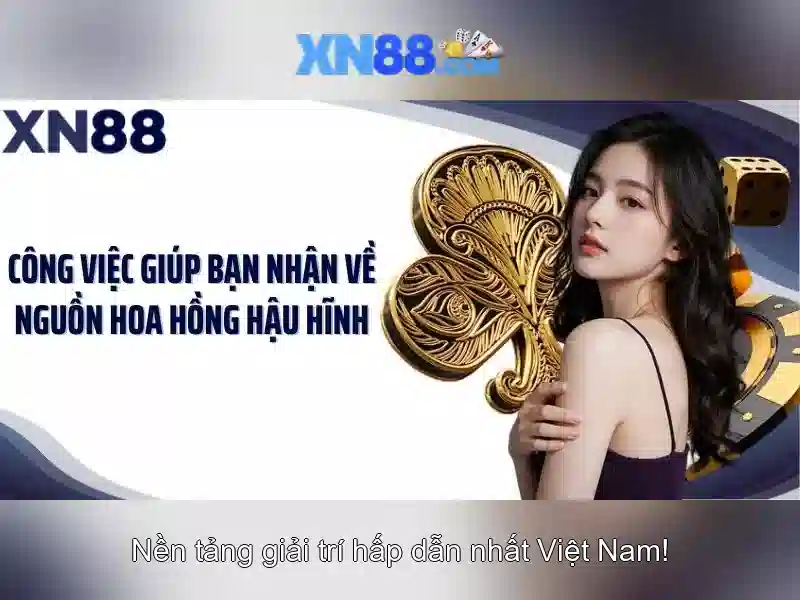 Kết luận về xn88
