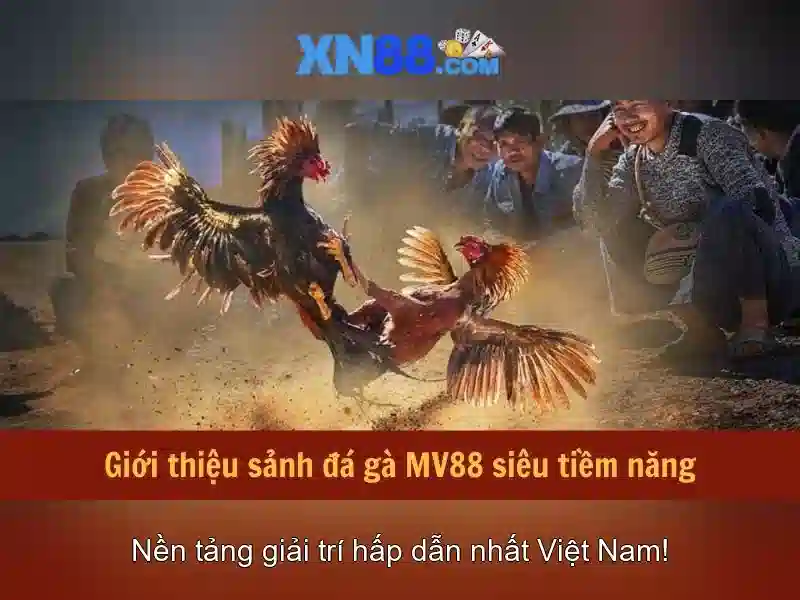 xn88: Nền tảng cược trực tuyến và đánh giá tổng quan