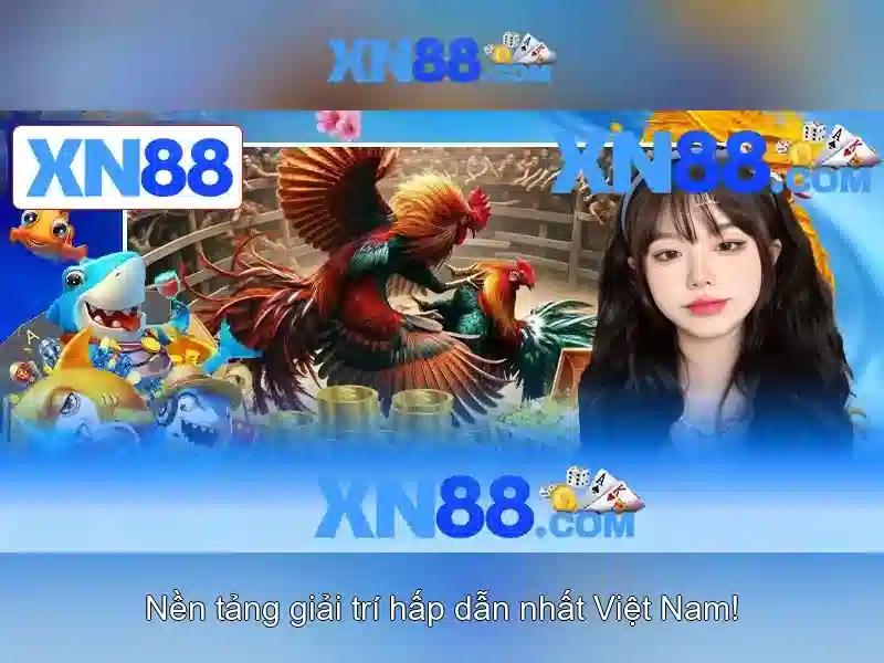 Giới thiệu về xn88
