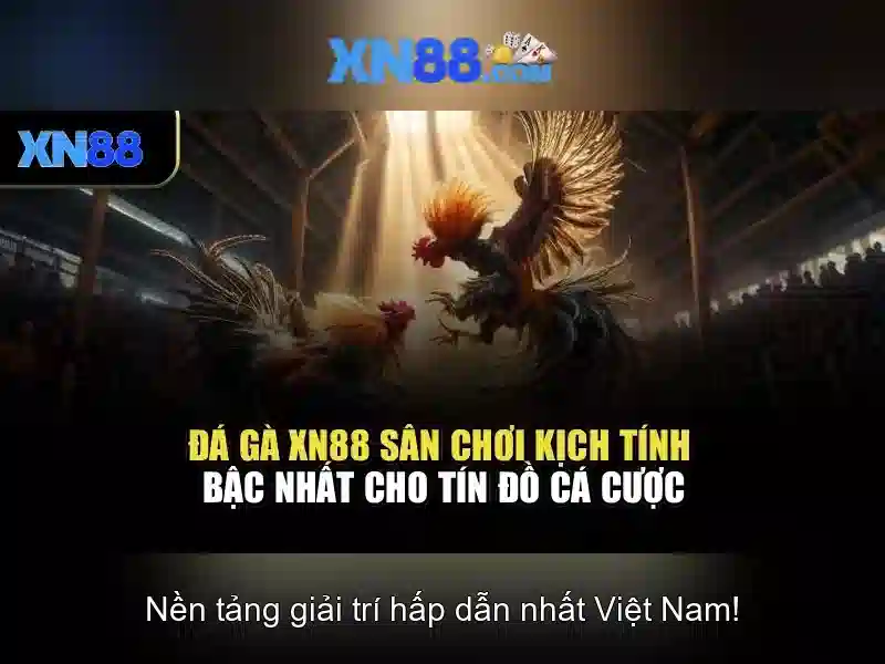 Những đặc điểm nổi bật