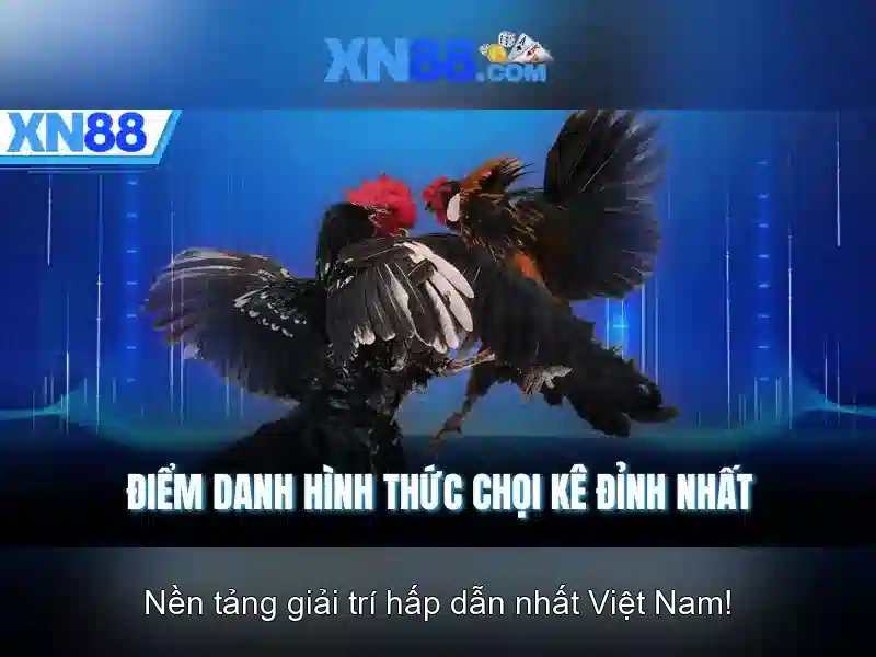 Nền tảng và trò chơi phổ biến