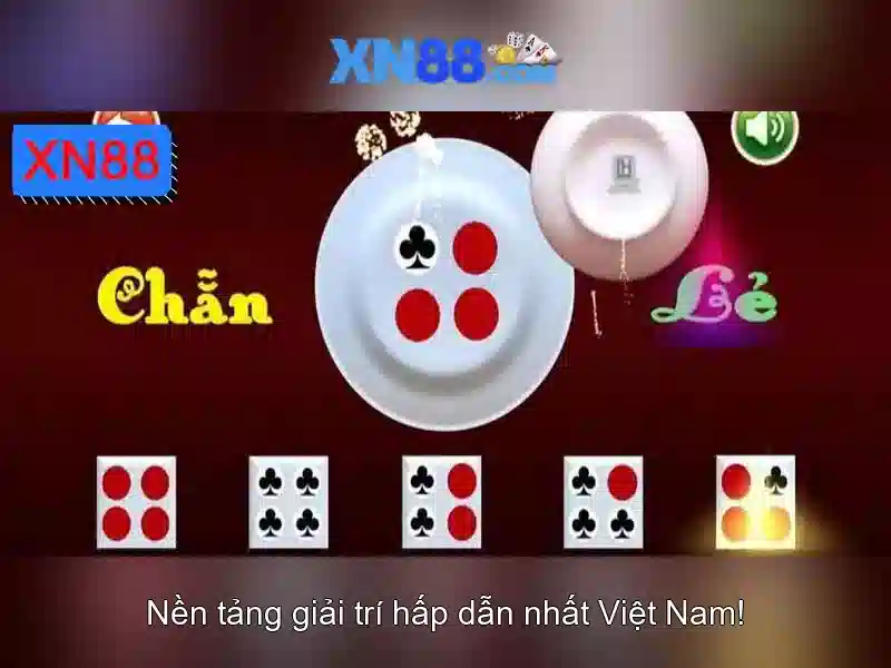 Các tính năng nổi bật