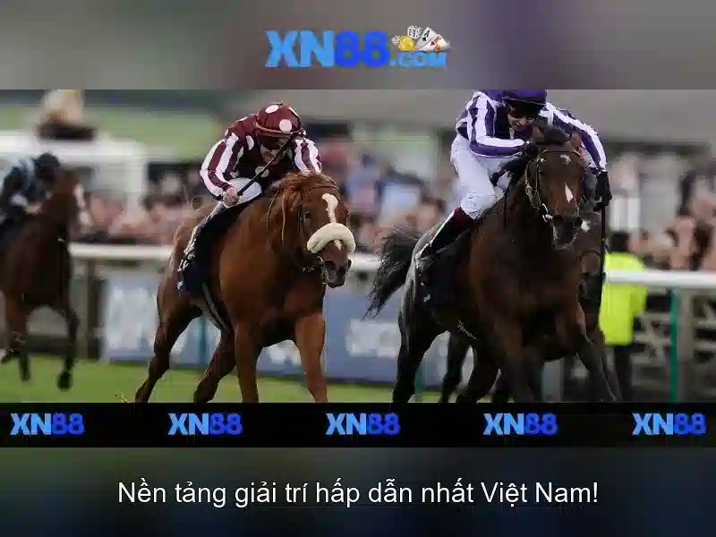 Chuc nang va san pham cua xn88
