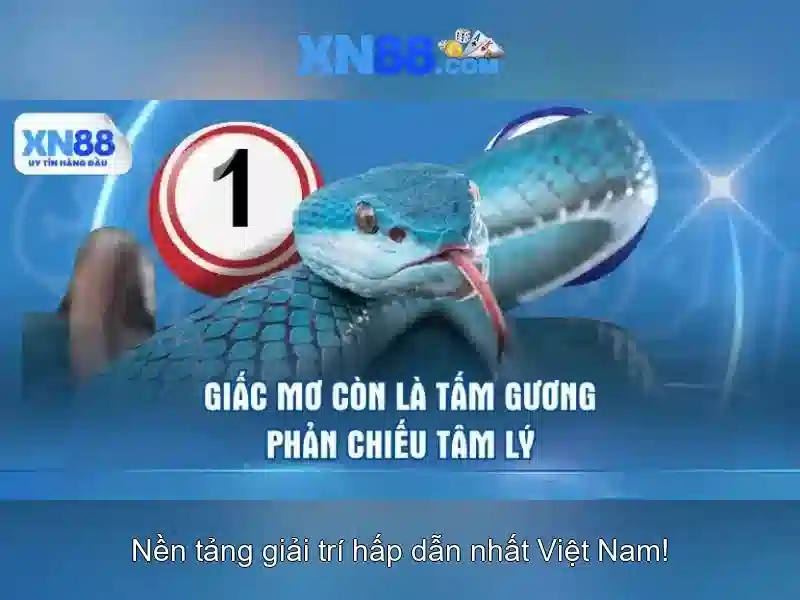 Đa dạng trò chơi và trải nghiệm người dùng