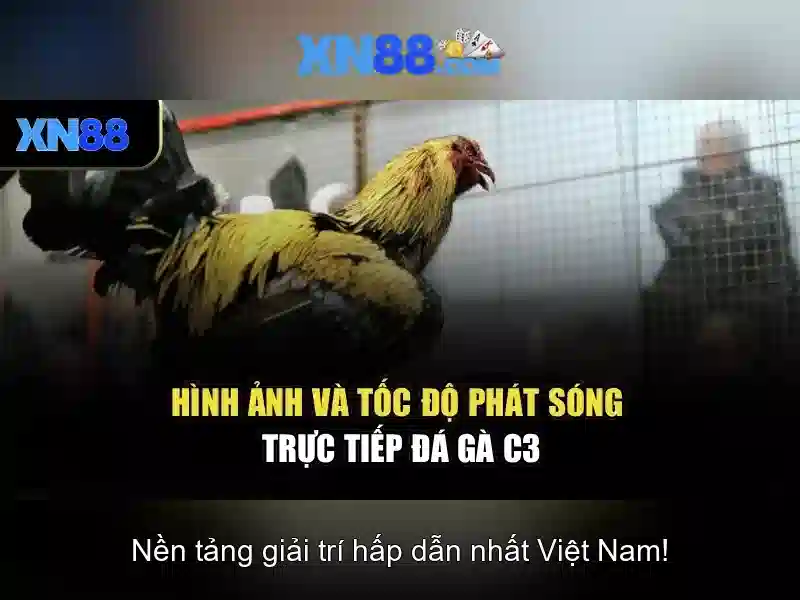 Kết luận
