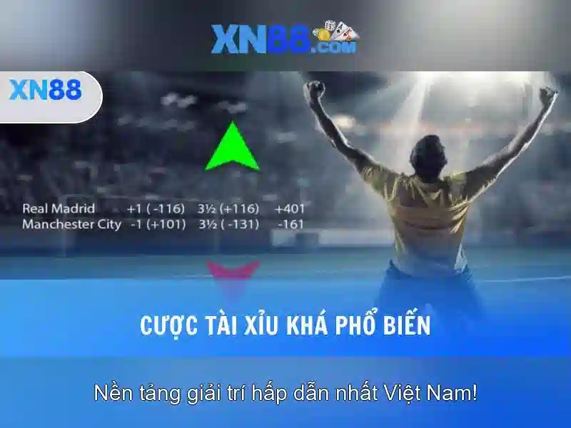 Tổng quan về xn88
