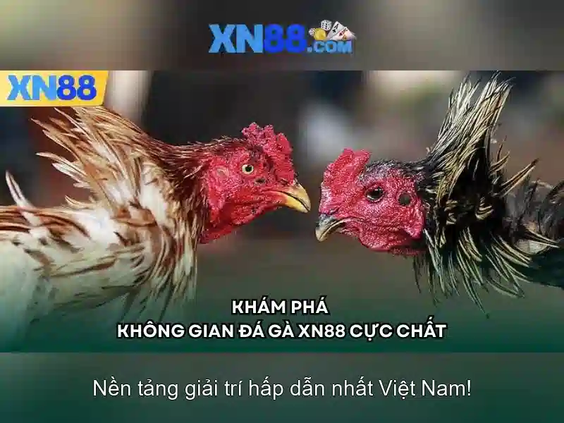 xn88 - Nền tảng trò chơi trực tuyến và cộng đồng người chơi