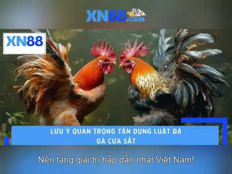 An toàn và thanh toán