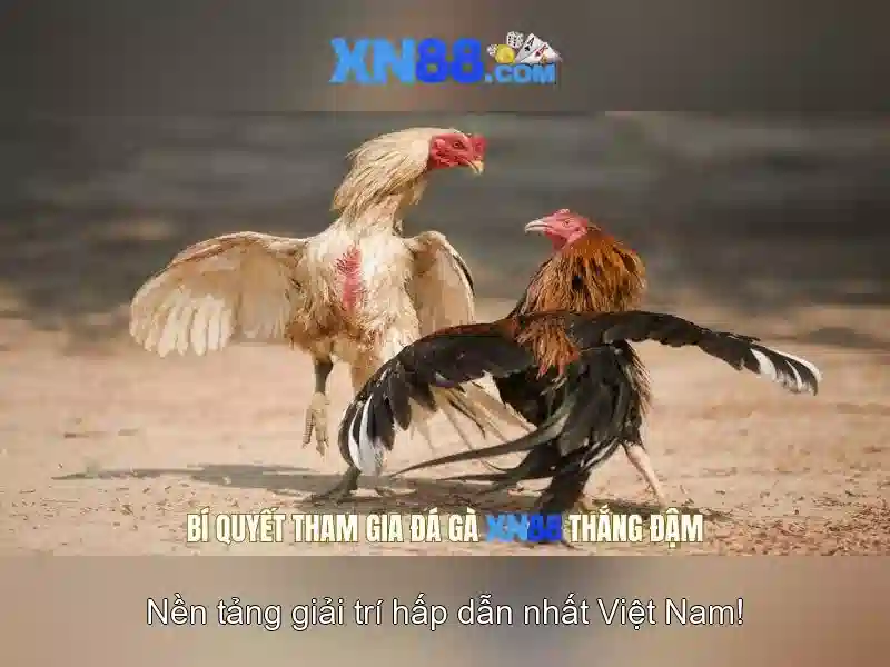 Giới thiệu xn88 – Nền tảng trò chơi trực tuyến