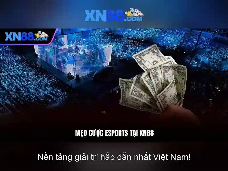 Chất lượng và hỗ trợ