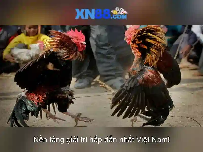 xn88: Tổng quan về nền tảng và tác động