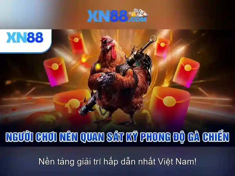 xn88: Tổng quan, an toàn và hướng dẫn chơi