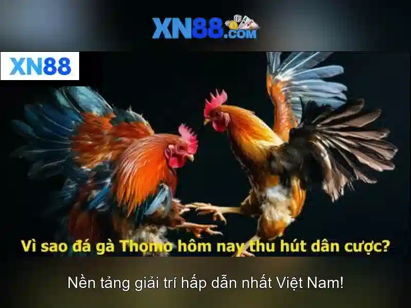 Bảo mật và trách nhiệm