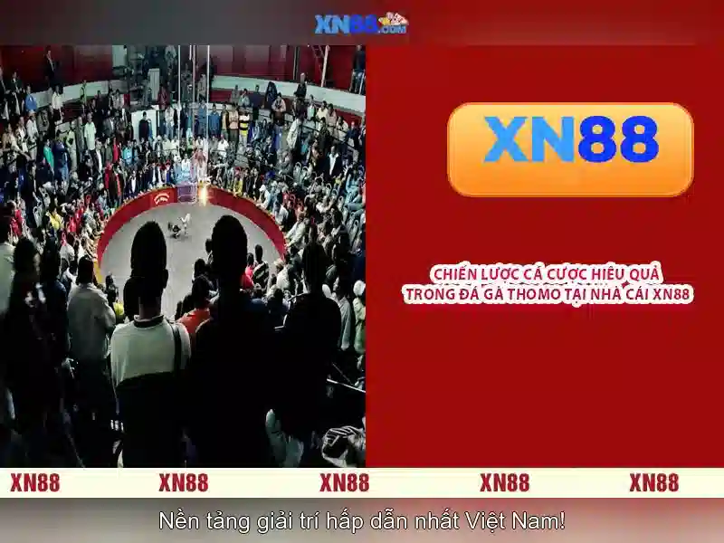 An toàn và bảo mật khi dùng xn88
